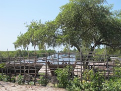 Tandanhangue