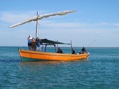 new-view-10