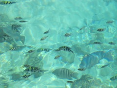 new-view1