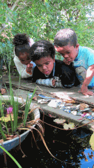 little-people-at-the-pond